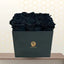 Black rose in box