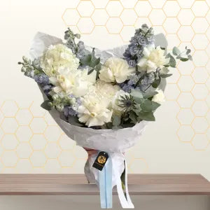 MIRABELLA Main image