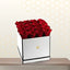 Queen Roses - Valentines Red Roses in White Square Box