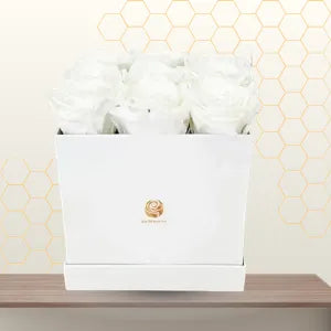 White roses box - cheap flower delivery