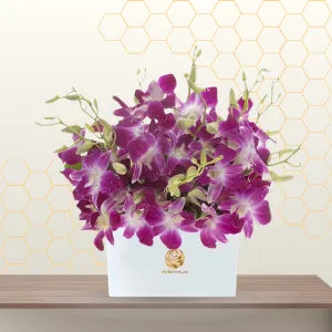 purple orchid box - lower box arrangement