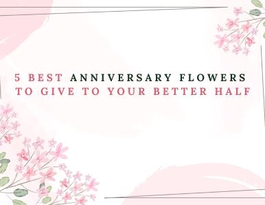 5 Best Anniversary Flowers to Give to Your Better Half
