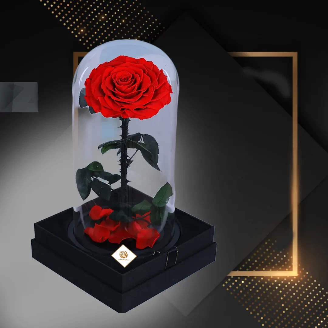 Single Stem Forever Rose 30 cm - Prserved Rose - Eternal Rose