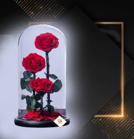 Three Stem Preserved Roses - Eternal Roses - Forever Roses