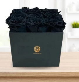 Black rose in box