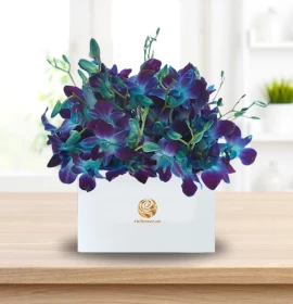 BANGKOK - Blue Orchids Box Arrangement