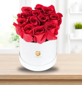 Red Roses in Small Box