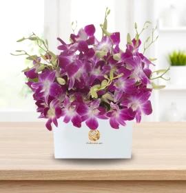 SINGAPORE- Purple Orchid Gift Box 