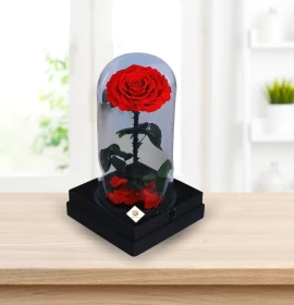 Single Stem Forever Rose 30 cm - Prserved Rose - Eternal Rose