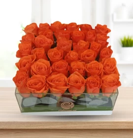 Orange Roses in Glass box