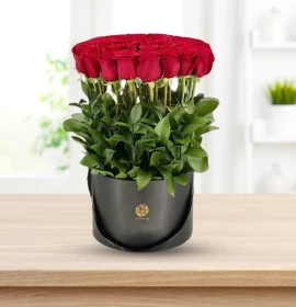 Mi Alma - Valentine's Red Roses Piller