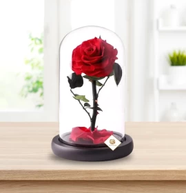 Single Red Forever Rose 20 cm - Eternal Rose - Preserved Rose