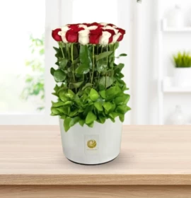 Rohi - Valentine's Red and White Roses Box 