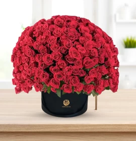 Red Roses Premium Box Arrangment