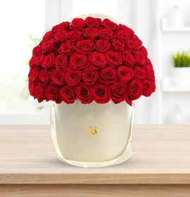 VIENNA- Valentines Majestic Red Roses Box Arrangement