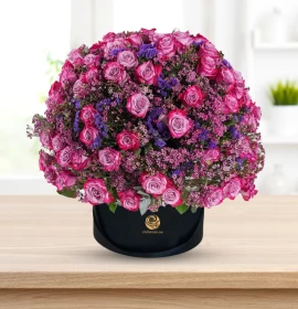 Purple Roses Premium Box Arrangement