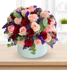 Lady Roses - Pink and Red Valentine Roses Box