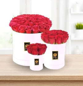 Captain - Valentine's Red Roses Family Pack