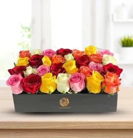 Mixed Roses in Rectangle Box