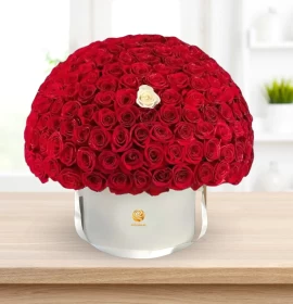 Milan - Luxury Red Roses Box