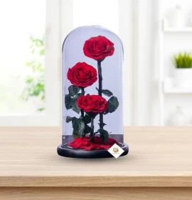 Three Stem Preserved Roses - Eternal Roses - Forever Roses