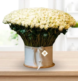 5OO Exotic White Roses in Box