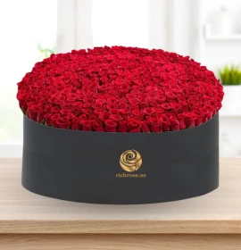 300 Red Roses in Flat Premium Box