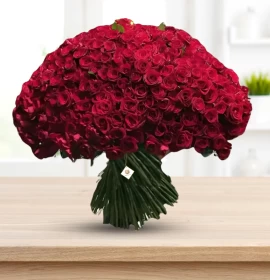 Snow Flake - Valentine's Three Hundred Red Roses Bunch