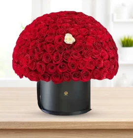 Rome -  Luxury Red Roses Box