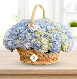 Hydrangea Basket