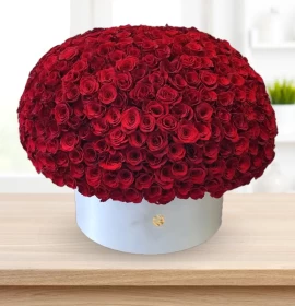 Andorra - Valentine Three Hudred Red Roses Box Arrangment