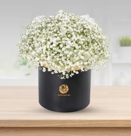 White gypsophilia Flowers in black Box